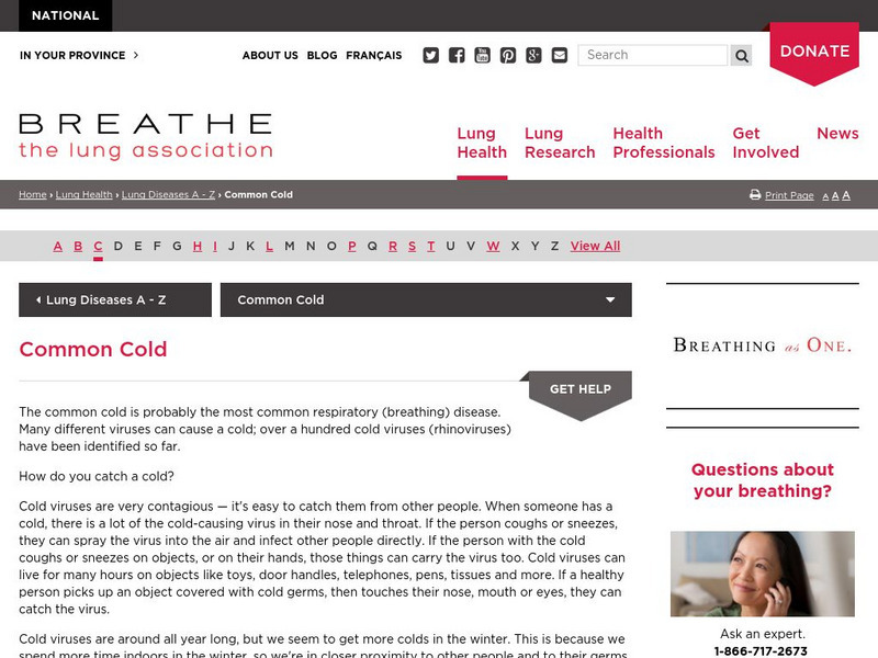 The Lung Association: Common Cold Website