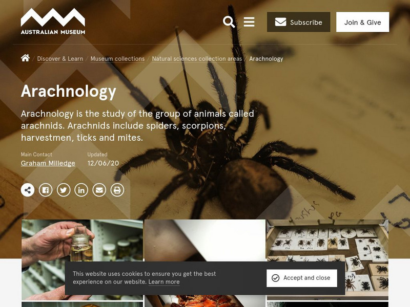 Australian Museum: Arachnology Collection Handout Australian Museum: Arachnology Collection Handout