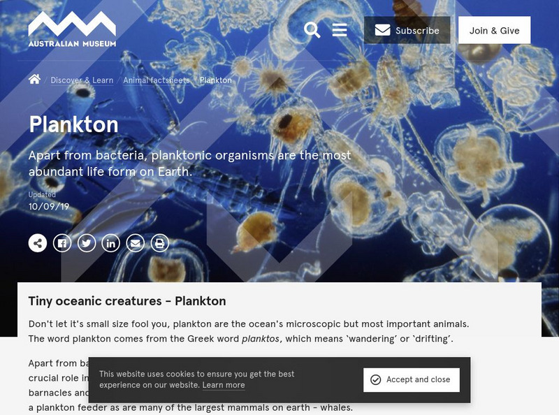 Australian Museum: Beyond the Reef: Plankton Graphic Australian Museum: Beyond the Reef: Plankton Graphic