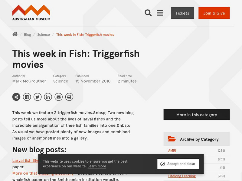 Australian Museum Fish Site: Fish Movies Instructional Video
