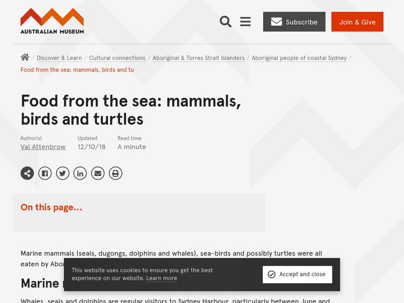 Australian Museum: Mammals of Sydney Harbour Article Australian Museum: Mammals of Sydney Harbour Article