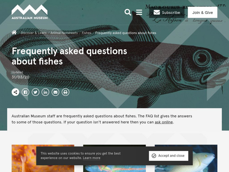 Australian Museum: Faq's About Fishes Handout