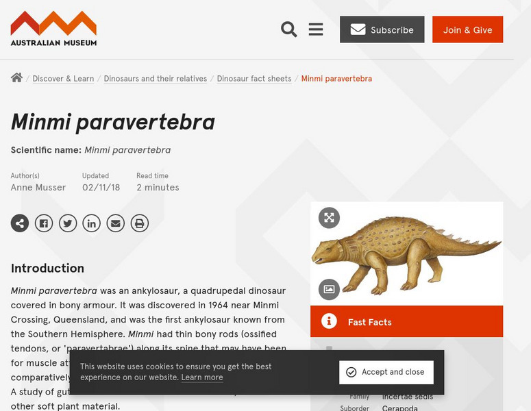 Australian Museum: Minmi Paravertebra Handout