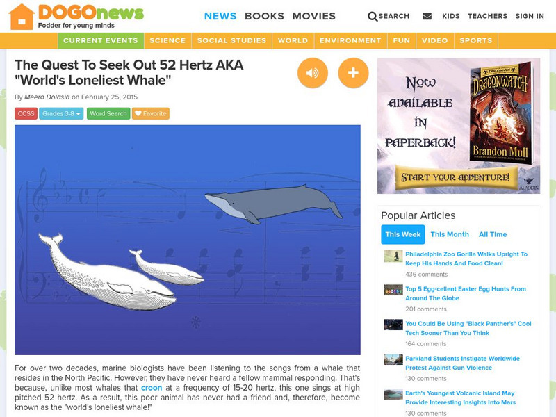 Dogo News: Quest to Seek Out "World's Loneliest Whale" Article Dogo News: Quest to Seek Out "World's Loneliest Whale" Article