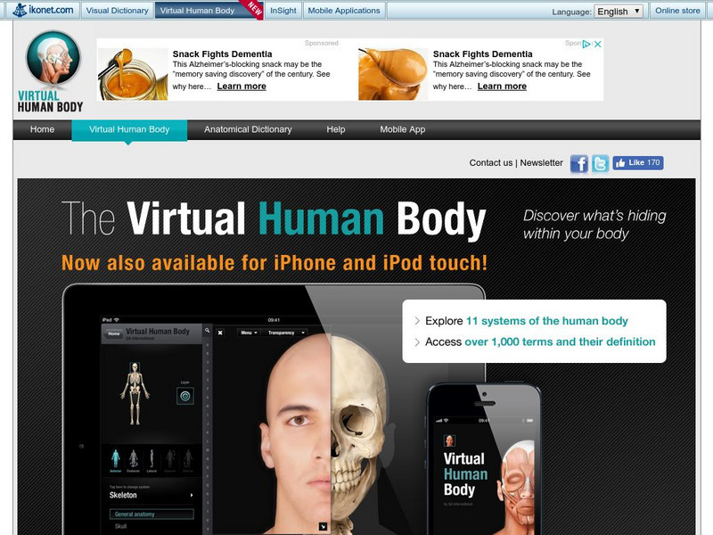 Ikonet: Virtual Human Body Instructional Video