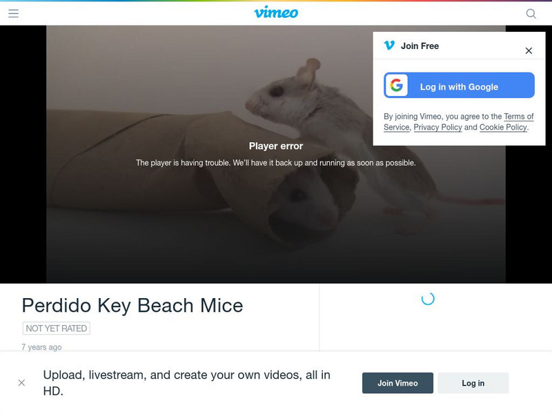 Vimeo: Perdido Key Beach Mouse Instructional Video