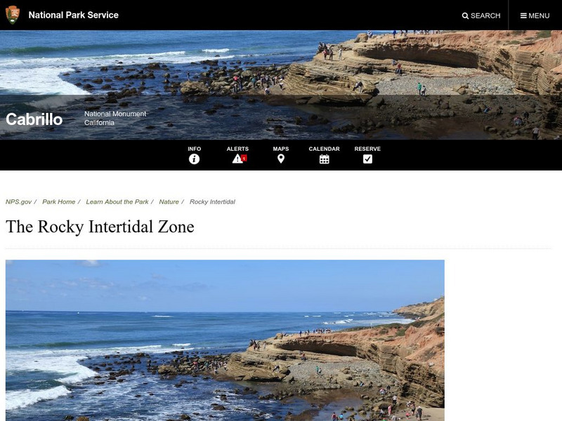 National Park Service: Cabrillo Natl Monument/tide Pools Windows to the Sea Handout National Park Service: Cabrillo Natl Monument/tide Pools Windows to the Sea Handout