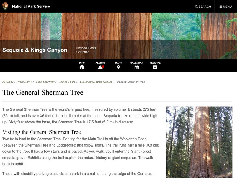 National Park Service: The General Sherman Tree Handout National Park Service: The General Sherman Tree Handout
