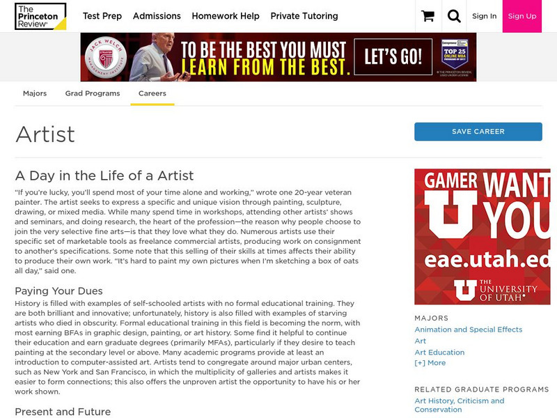 The Princeton Review: Career Artist Website The Princeton Review: Career Artist Website
