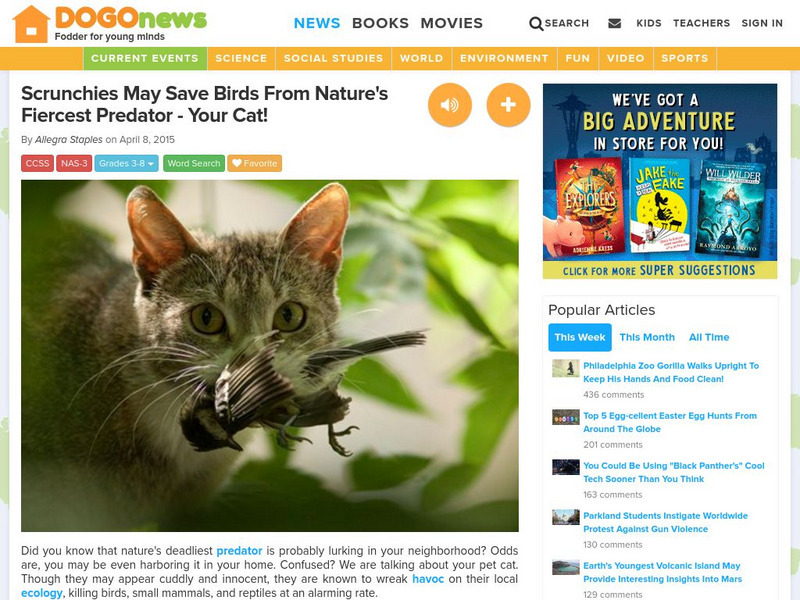 Dogo News: Scrunchies May Save Birds From Fiercest Predator Article