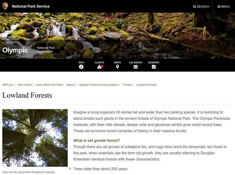 National Park Service: Lowland Forests Handout National Park Service: Lowland Forests Handout