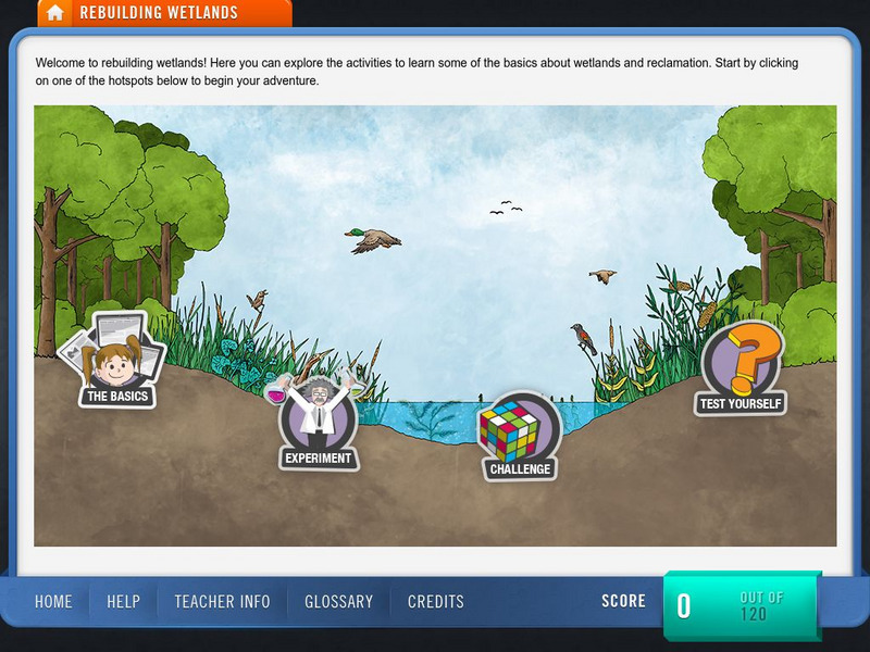 Wonderville: Rebuilding Wetlands Interactive Wonderville: Rebuilding Wetlands Interactive