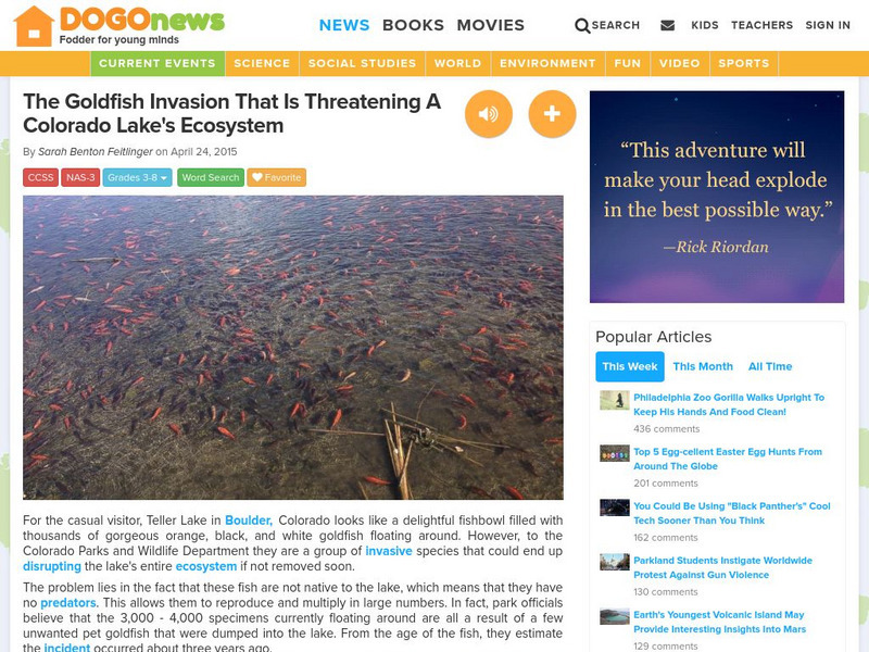Dogo News: The Goldfish Invasion Article Dogo News: The Goldfish Invasion Article