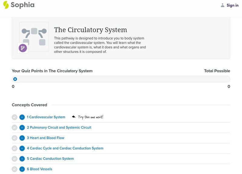 Sophia: Cardiovascular System Unit Plan Sophia: Cardiovascular System Unit Plan