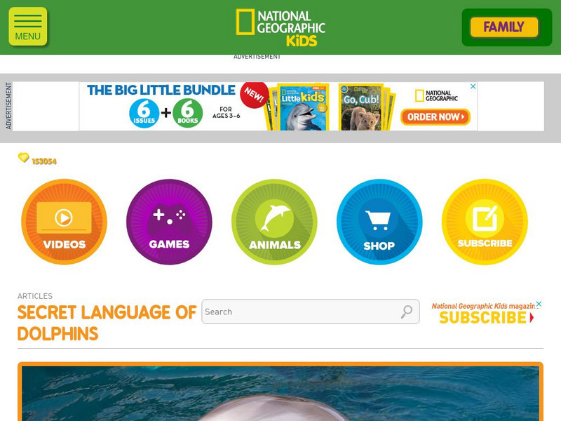 National Geographic Kids: The Secret Language of Dolphins Article National Geographic Kids: The Secret Language of Dolphins Article