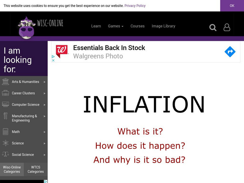 Wisc Online: Inflation Interactive Wisc Online: Inflation Interactive
