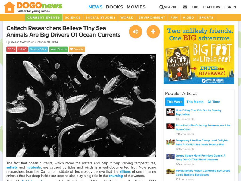 Dogo News: Tiny Sea Animals May Drive Sea Currents Article