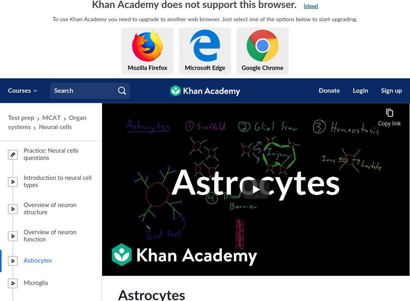 Khan Academy: Test Prep: Mcat: Organ Systems: Neural Cells: Astrocytes Instructional Video Khan Academy: Test Prep: Mcat: Organ Systems: Neural Cells: Astrocytes Instructional Video