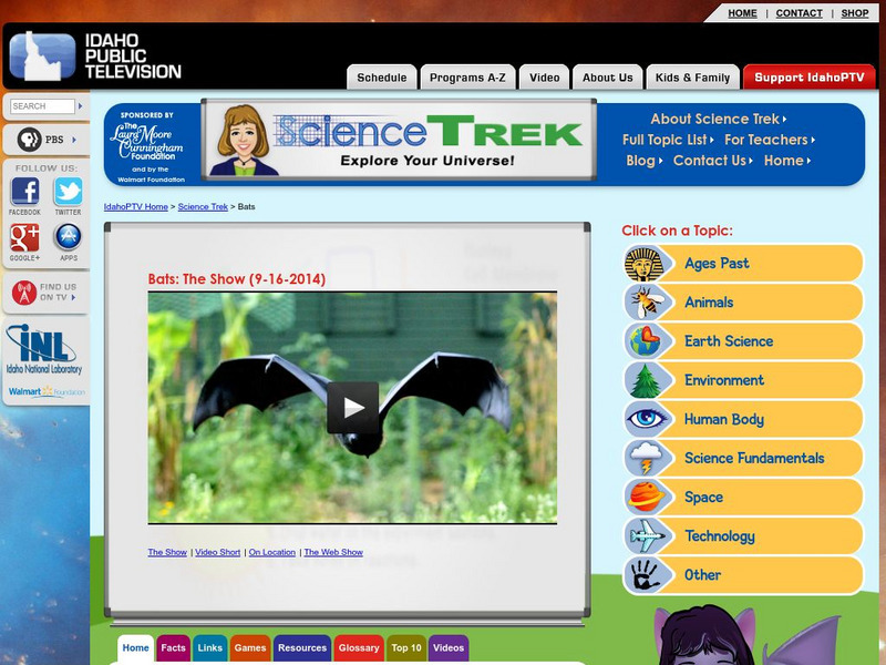 Idaho Public Education: Bats Interactive