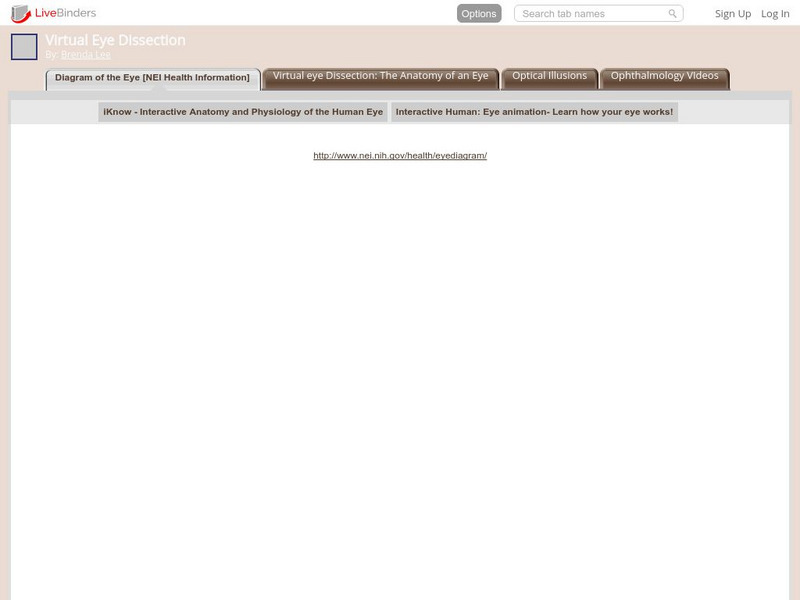 Live Binders: Virtual Eye Dissection Website