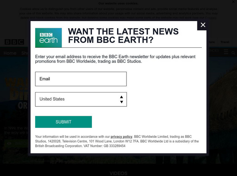 Bbc Earth: Walking With Dinosaurs: Memory Interactive