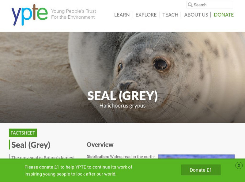 Fact Sheet: Grey Seal Handout