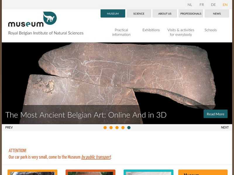 Royal Belgian Institute of Natural Sciences Website Royal Belgian Institute of Natural Sciences Website