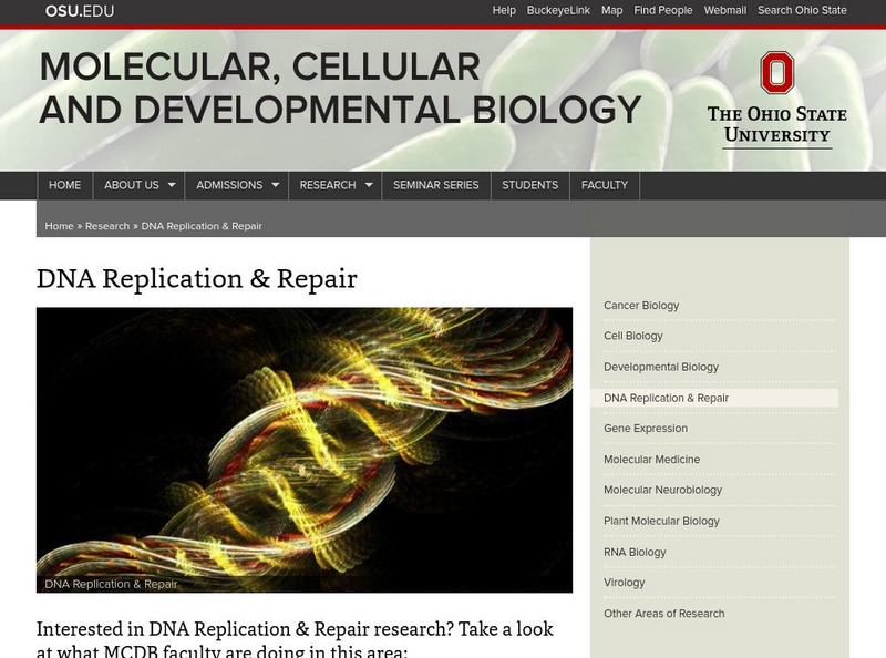Ohio State University: Dna Replication Website Ohio State University: Dna Replication Website