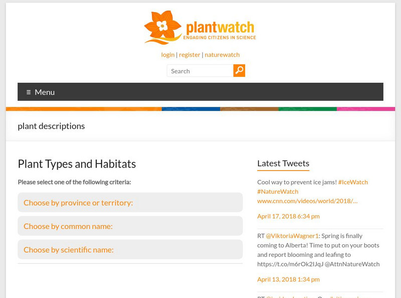 Plant Watch: Plant Descriptions Website Plant Watch: Plant Descriptions Website
