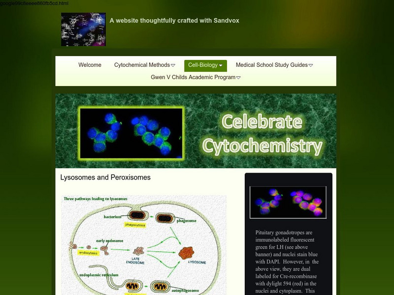 Cytochemistry: Lysosomes and Peroxisomes Handout
