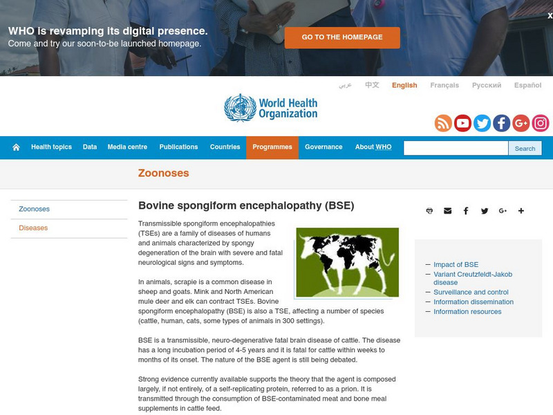World Health Organization: Bovine Spongiform Encephalopathy Website World Health Organization: Bovine Spongiform Encephalopathy Website