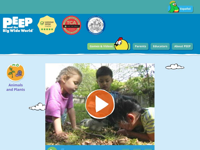 Wgbh: Peep and the Big Wide World: Exploring Small Spaces: Animals and Plants Instructional Video Wgbh: Peep and the Big Wide World: Exploring Small Spaces: Animals and Plants Instructional Video
