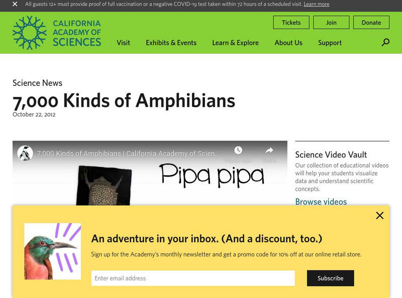 California Academy of Sciences: 7,000 Kinds of Amphibians Instructional Video California Academy of Sciences: 7,000 Kinds of Amphibians Instructional Video