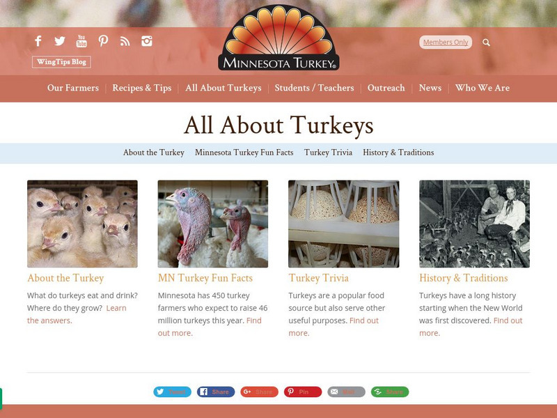 Minnesota Turkey Growers Association: Minnesota Turkey Website