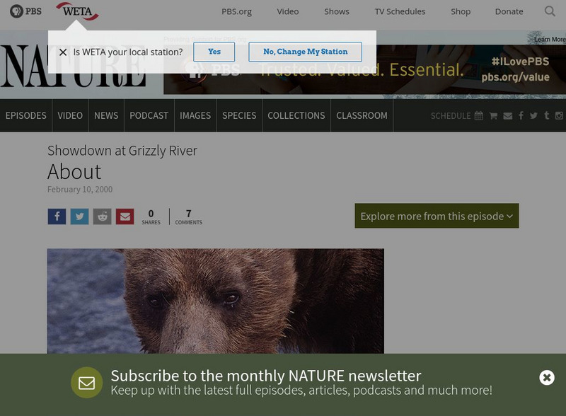 Pbs: Nature: Showdown at Grizzly River Website Pbs: Nature: Showdown at Grizzly River Website