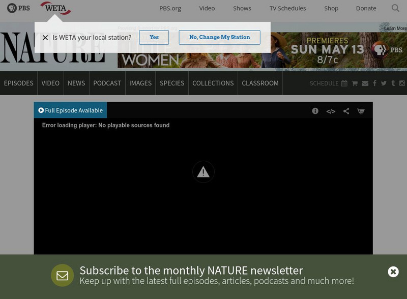 Pbs: Nature: Braving Iraq Website Pbs: Nature: Braving Iraq Website