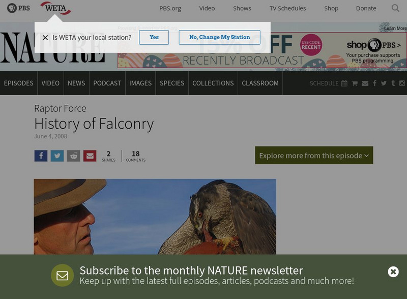 Pbs: Nature: Raptor Force: History of Falconry Website Pbs: Nature: Raptor Force: History of Falconry Website