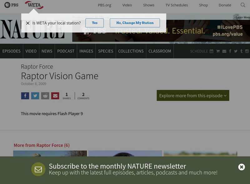 Pbs: Nature: Raptor Vision Game Website Pbs: Nature: Raptor Vision Game Website