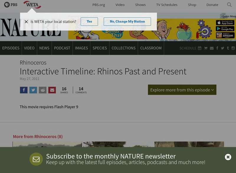 Pbs: Nature: Rhinoceros Website Pbs: Nature: Rhinoceros Website