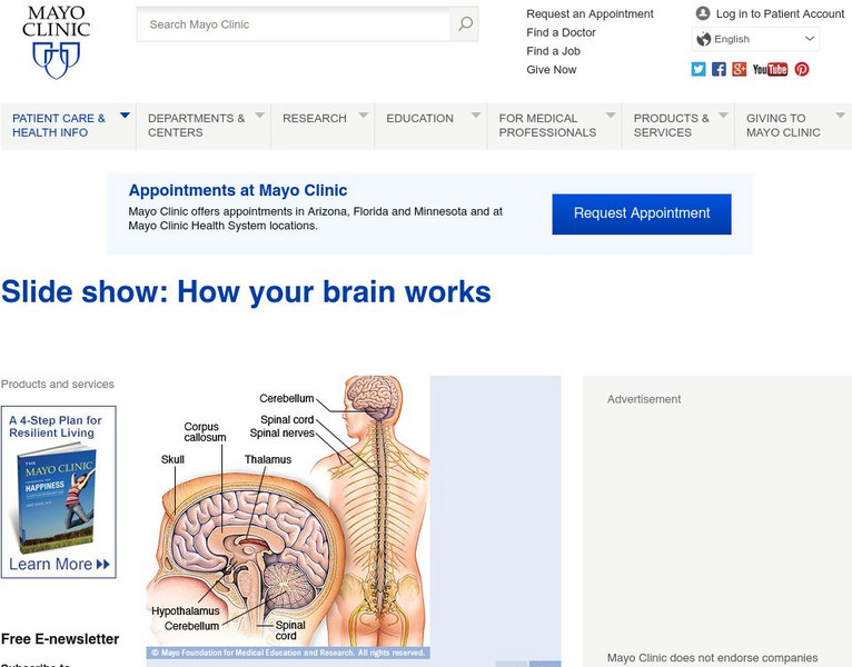 Mayo Clinic: Slide Show: How Your Brain Works Handout Mayo Clinic: Slide Show: How Your Brain Works Handout