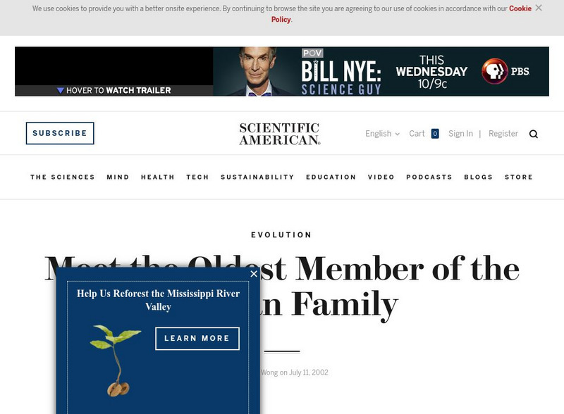 Scientific American: Oldest Member of the Human Family Article Scientific American: Oldest Member of the Human Family Article