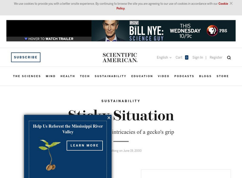 Scientific American: The Intricacies of a Gecko's Grip Article Scientific American: The Intricacies of a Gecko's Grip Article