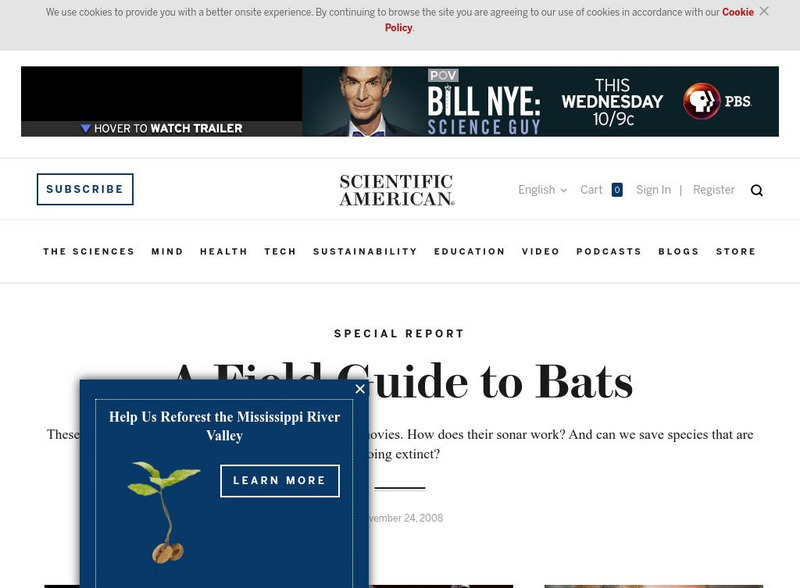 Scientific American: A Field Guide to Bats : In Depth Reports Article Scientific American: A Field Guide to Bats : In Depth Reports Article