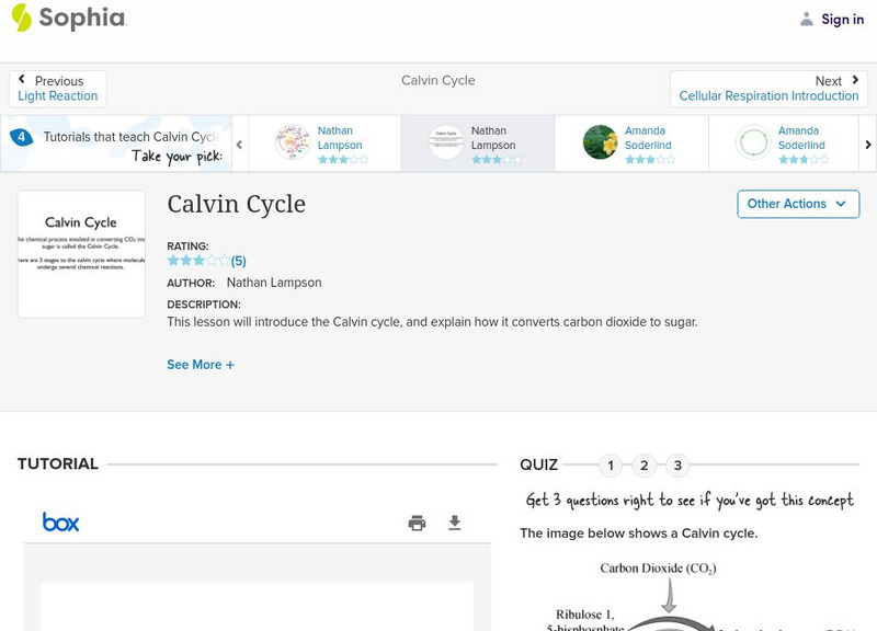 Sophia: Calvin Cycle: Lesson 4 PPT Sophia: Calvin Cycle: Lesson 4 PPT