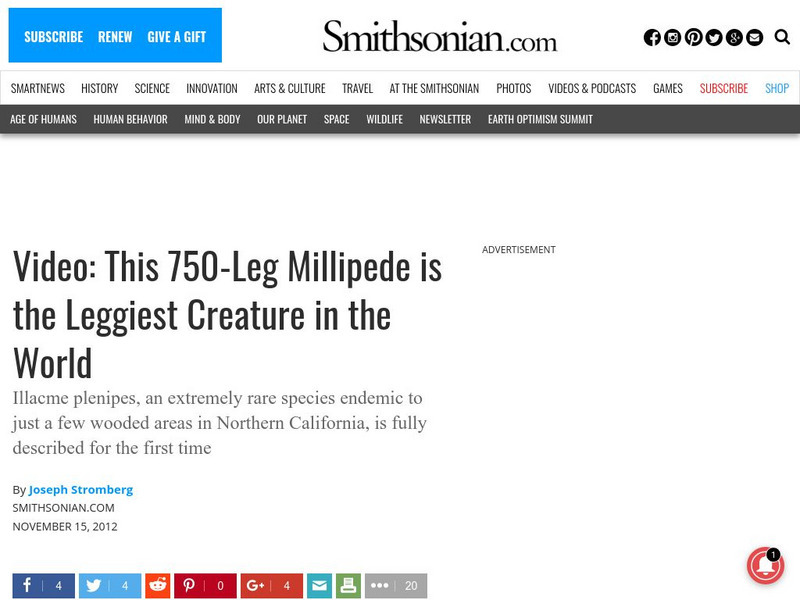 Smithsonian: Science: Week of 11 19 12: Leggiest Creature in the World Website