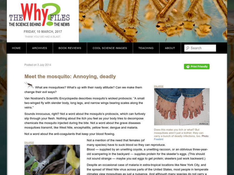 The Why Files: Mosquito Bytes Lesson Plan The Why Files: Mosquito Bytes Lesson Plan