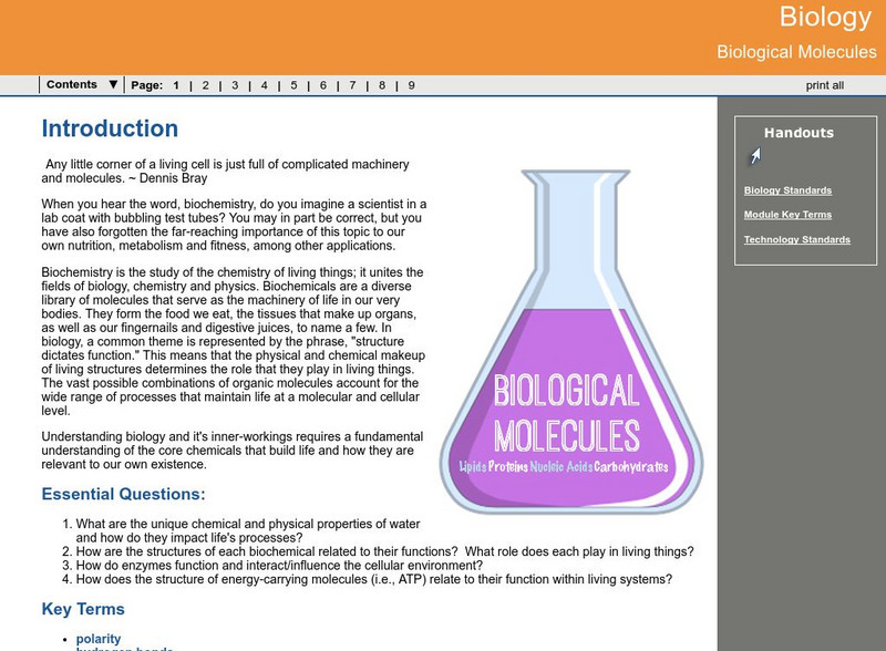 Ga Virtual Learning: Biology: Biological Molecules Unit Plan Ga Virtual Learning: Biology: Biological Molecules Unit Plan