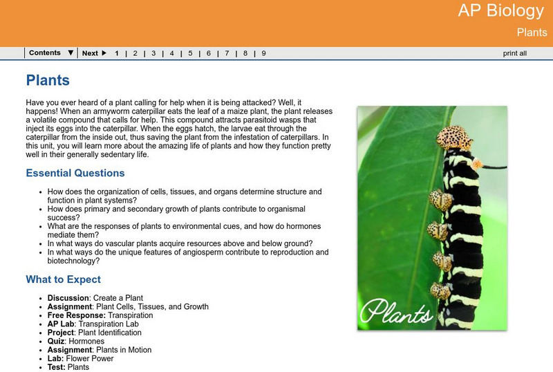 Ga Virtual Learning: Ap Biology: Plants Unit Plan