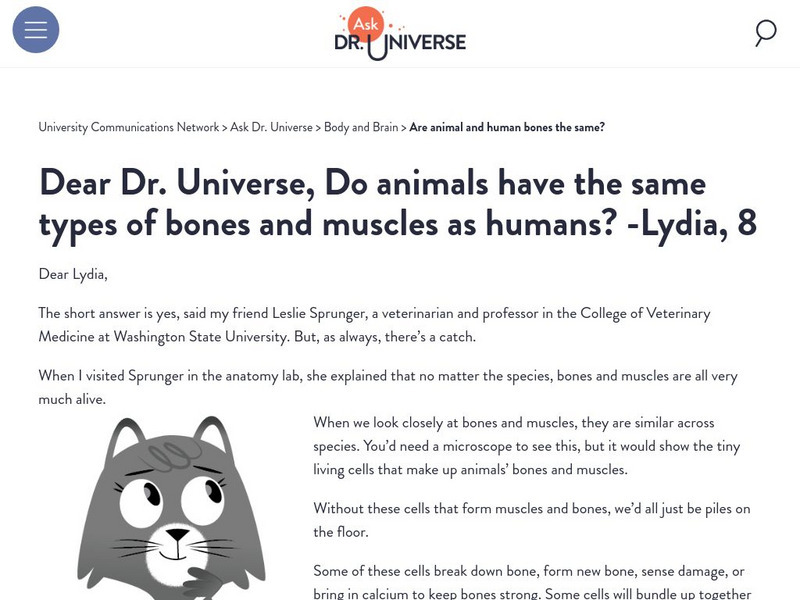 Washington State University: Ask Dr. Universe: Are Animal and Human Bones the Same? Article