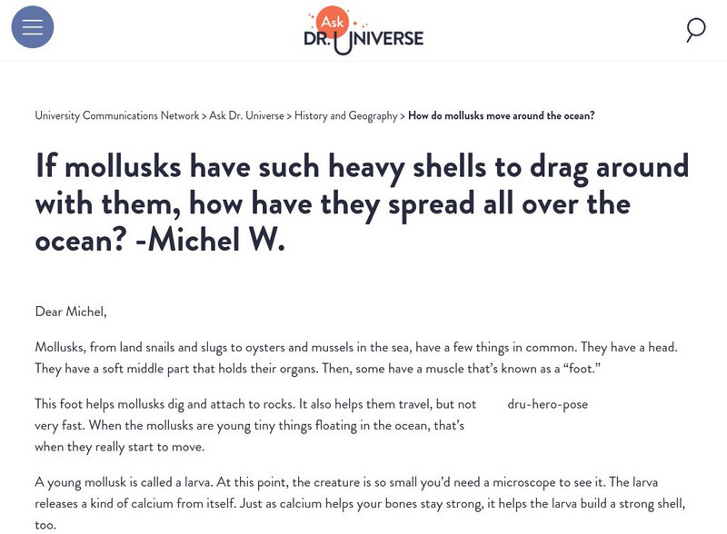 Washington State University: Ask Dr. Universe: How Do Mollusks Move Around the Ocean? Article Washington State University: Ask Dr. Universe: How Do Mollusks Move Around the Ocean? Article